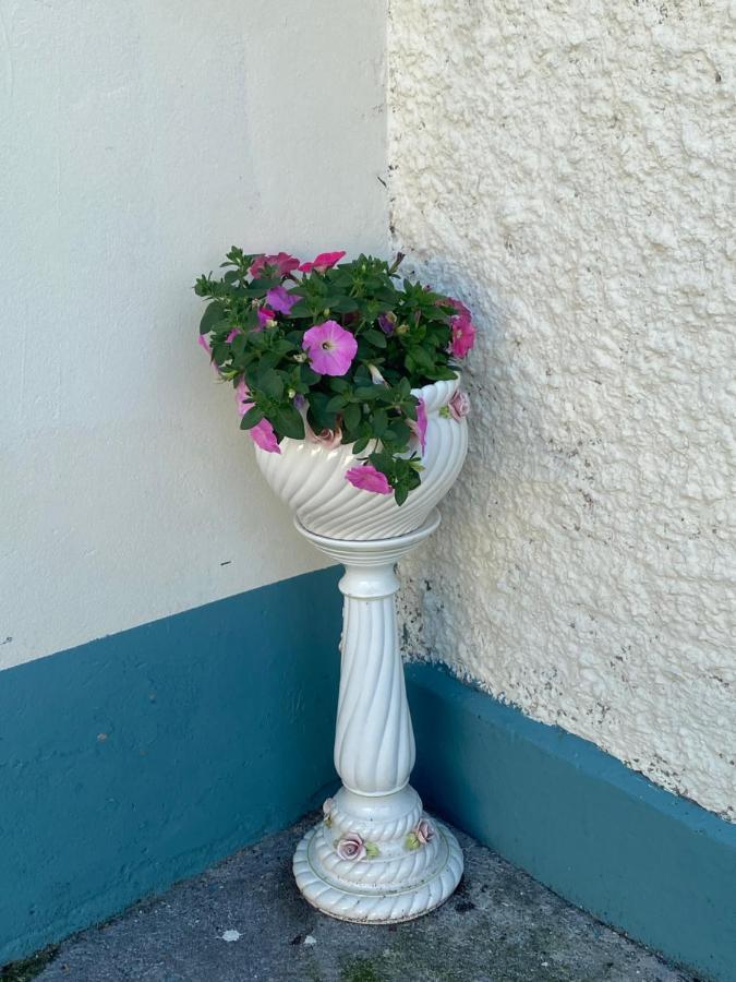 Farm Stay Property Pets And Families Welcome Rossnowlagh Exterior foto