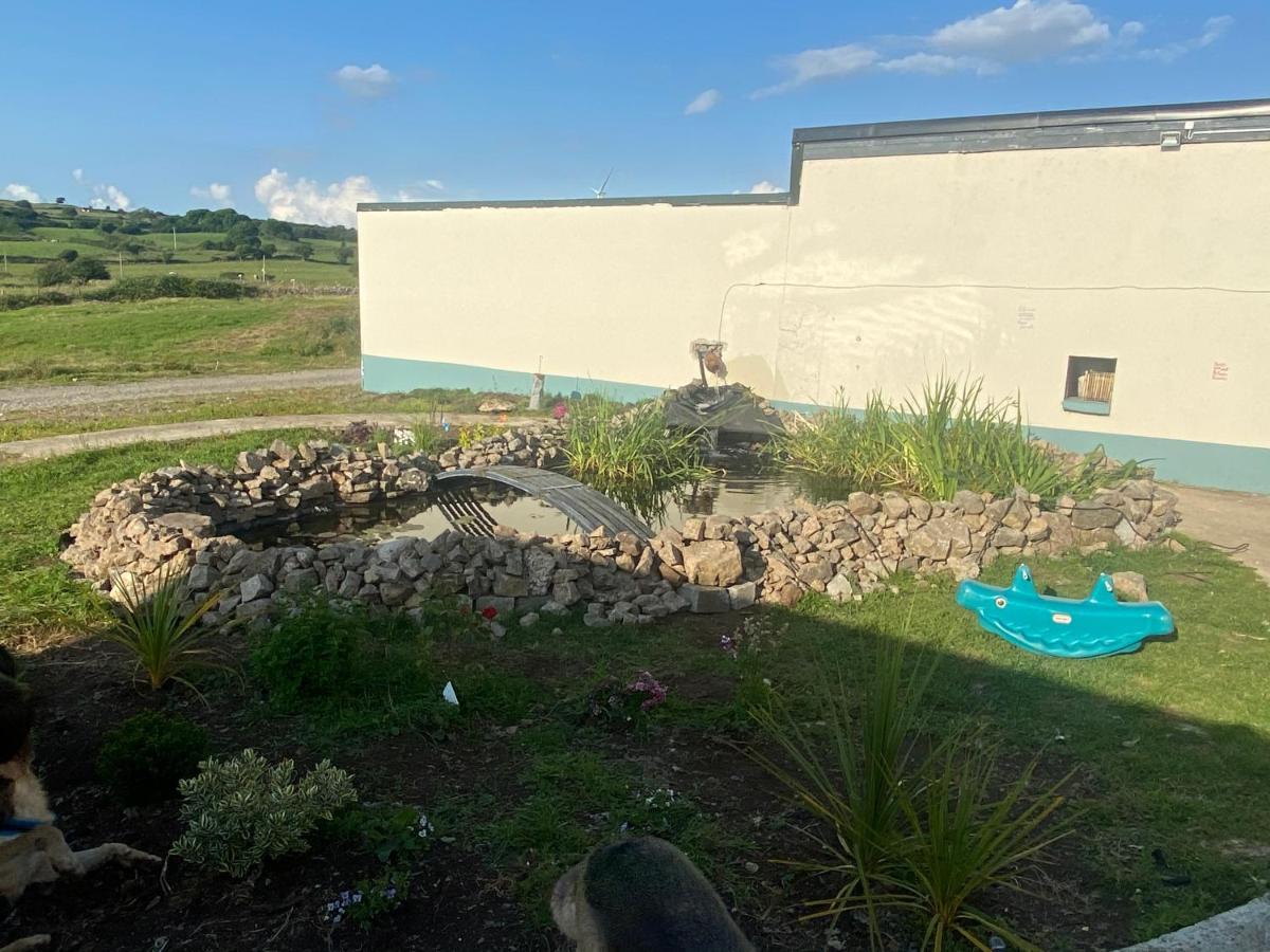 Farm Stay Property Pets And Families Welcome Rossnowlagh Exterior foto