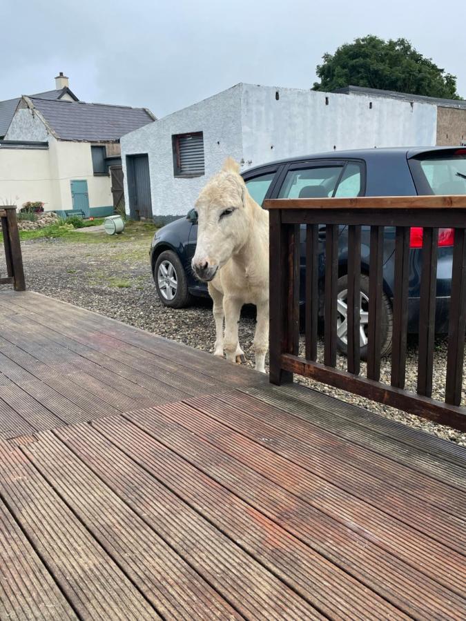 Farm Stay Property Pets And Families Welcome Rossnowlagh Exterior foto